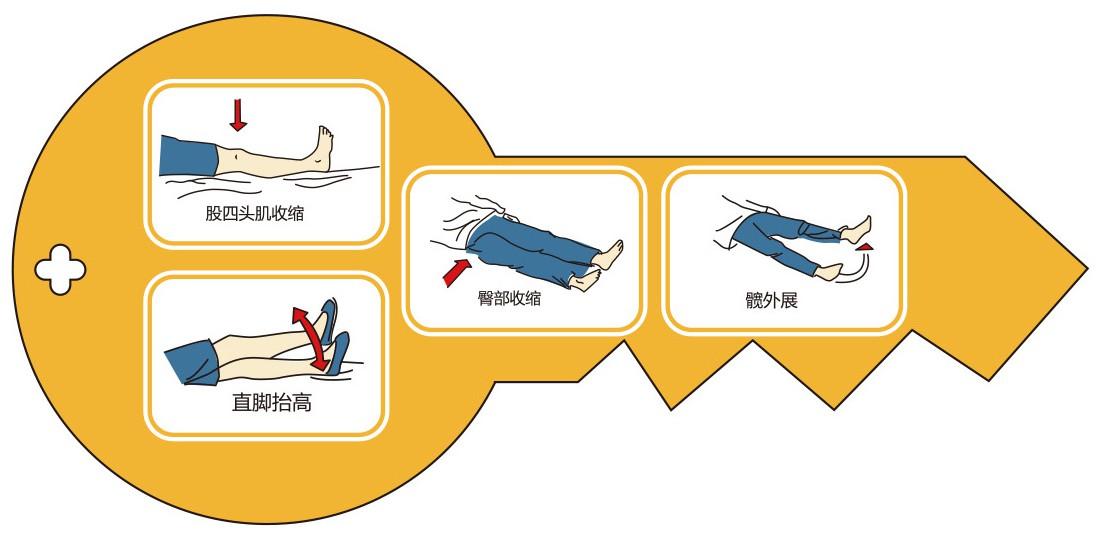 骨盆运动正确做法图解图片