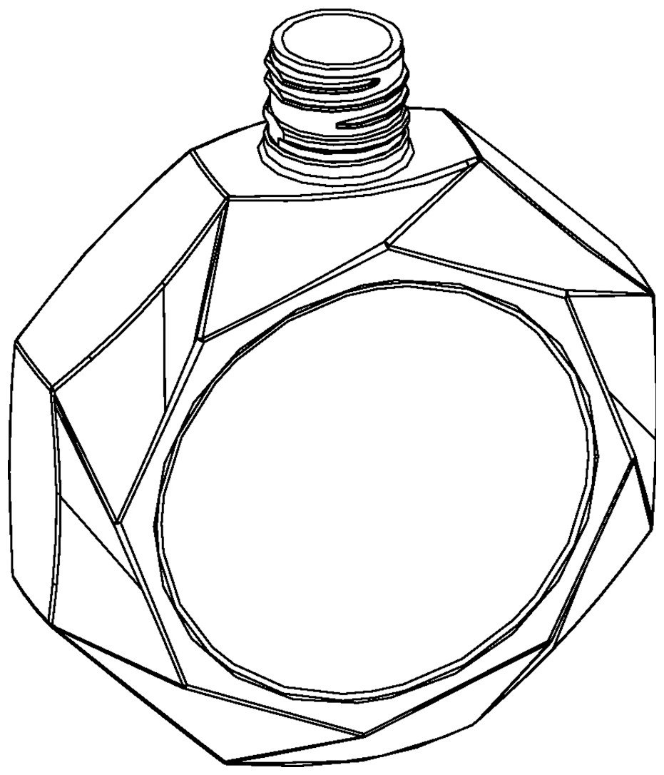 cn306539209s_包装瓶瓶身