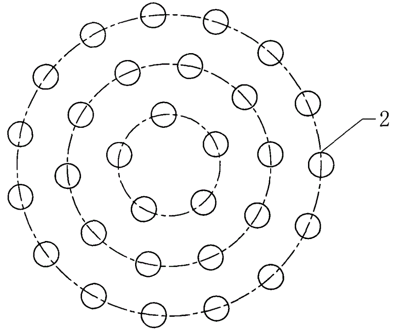 至少三层喷孔分别位于至少三个同心圆的圆周上,并且喷孔在喷头本体上