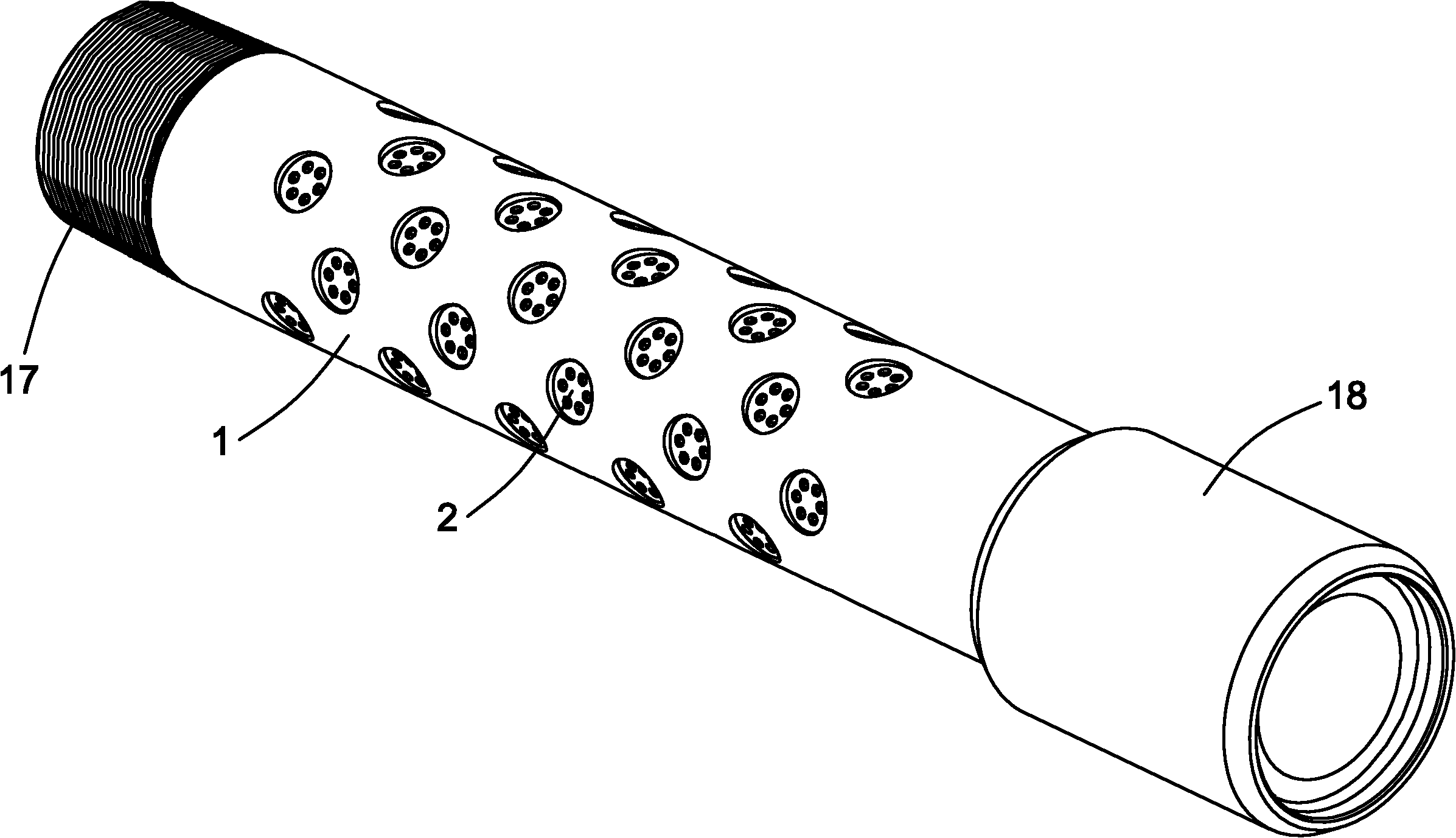 cn201714358u_直缝梯形自洁筛管失效