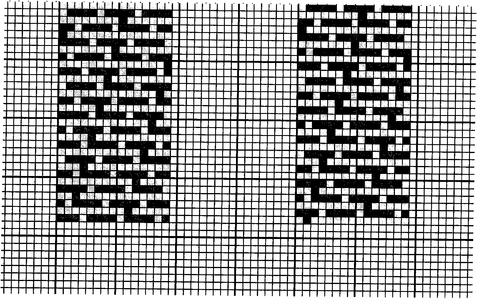 本实用新型涉及一种特高支高密特宽大提花床上用品面料,包括经向纱线