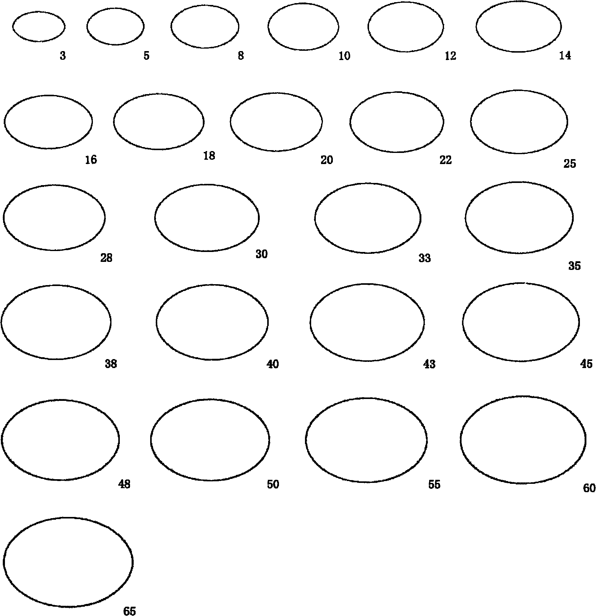 一次性睪丸測量器