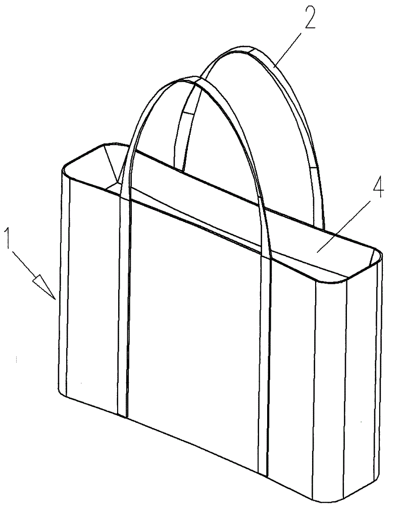 cn201948191u_一种购物袋失效