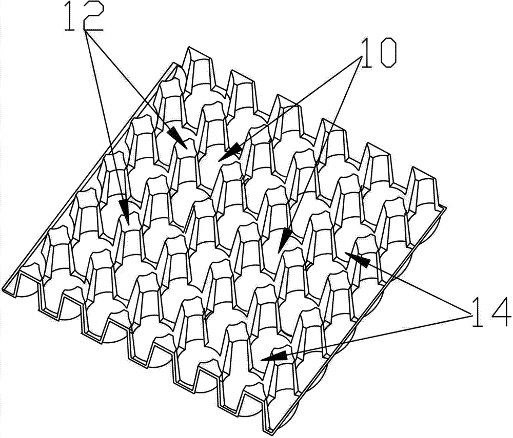 本实用新型涉及一种新型蛋托,其包括:阵列排布并用于