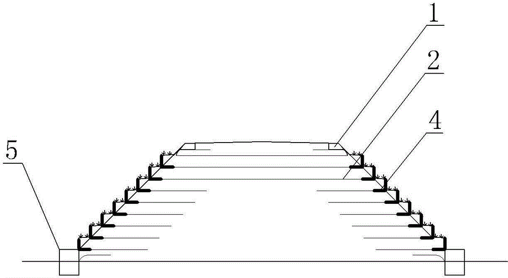 路堤加筋示意图图片