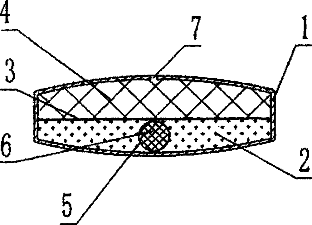 cn203724483u_一种胃滞留型渗透泵控释片失效