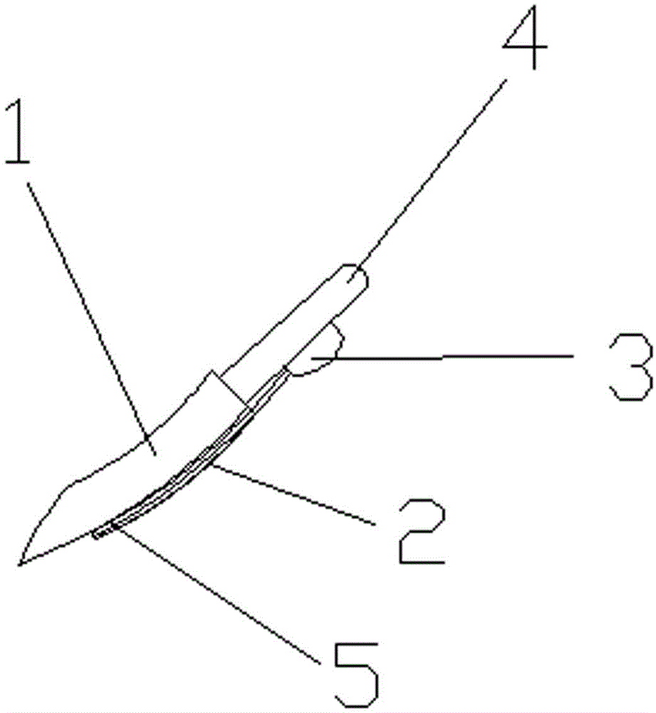 一种带有施肥功能的铲子