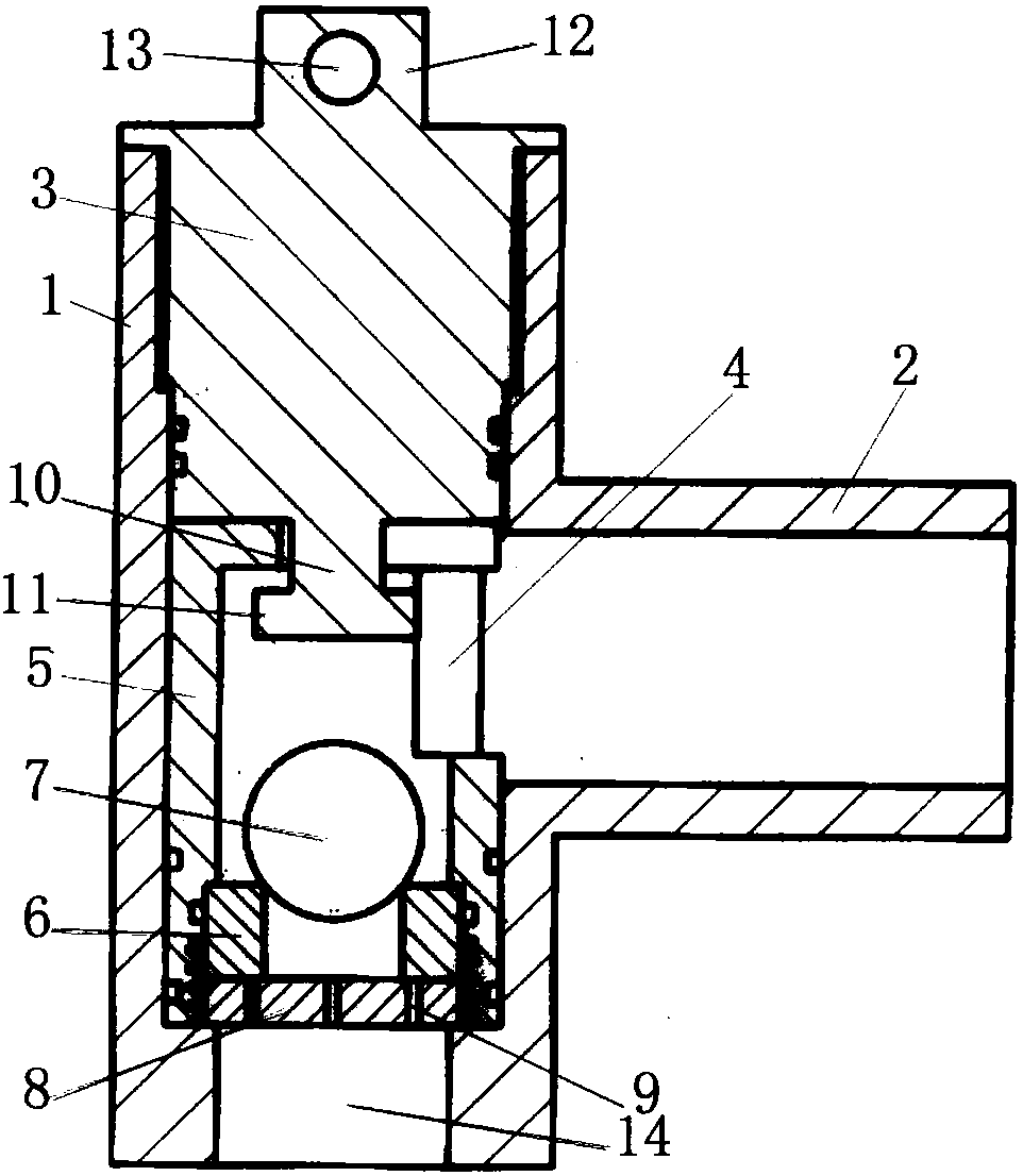 cn207296962u_一種用於油田高壓注水井的單向閥有效