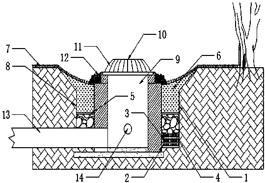一种下凹式绿地结构
