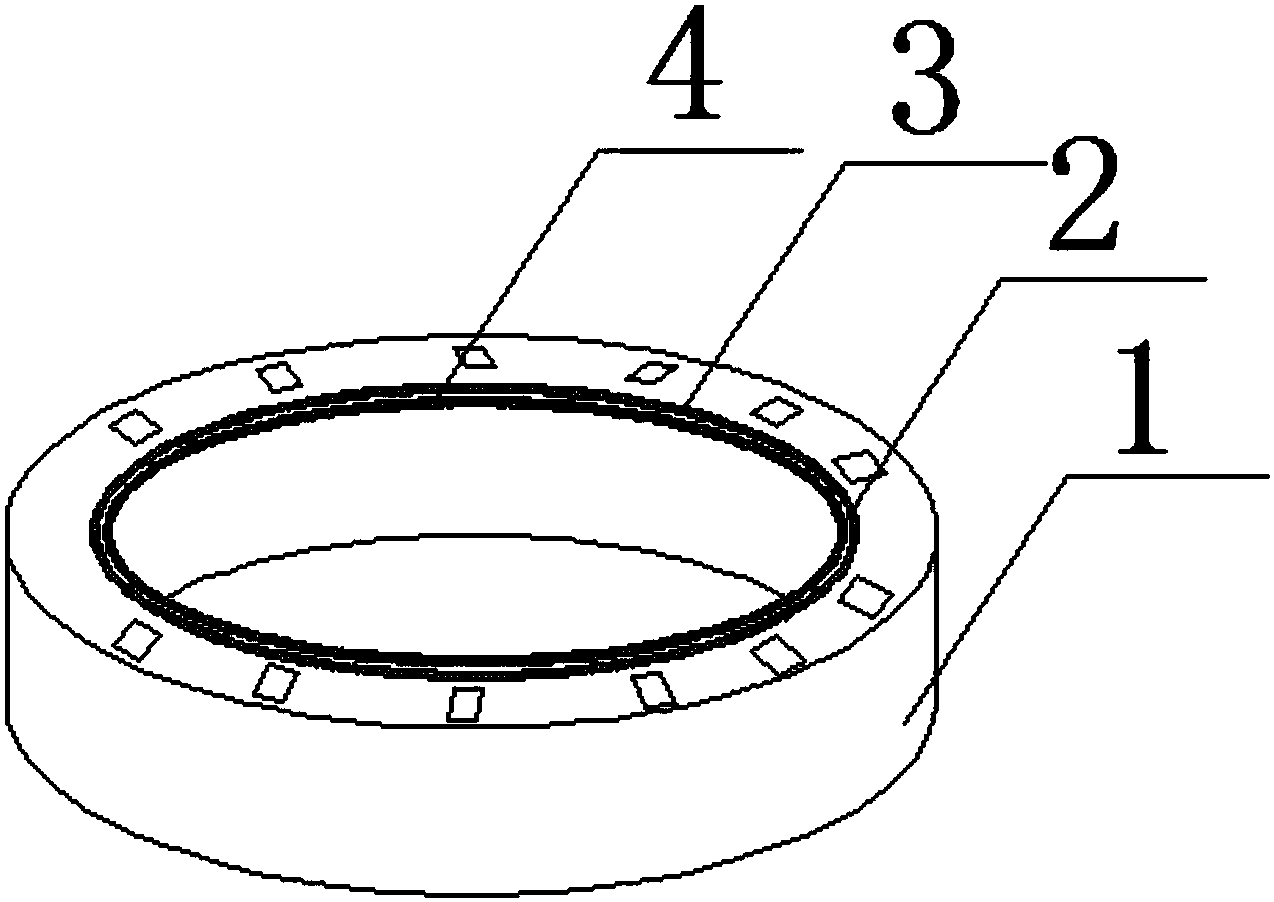 一种耐磨骨架油封