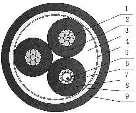 本实用新型公开了一种层绞式双极直流供电海底光缆,其内部结构相同