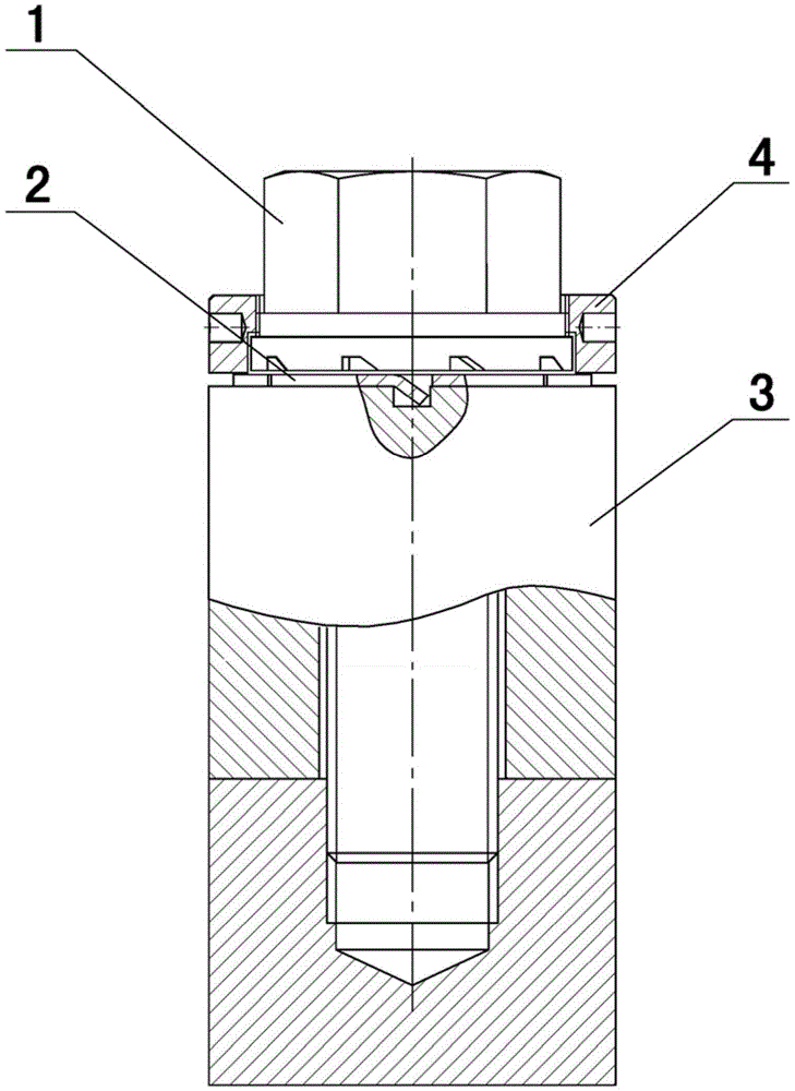 cn210599803u_用于核电蒸汽发生器的防松螺栓有效