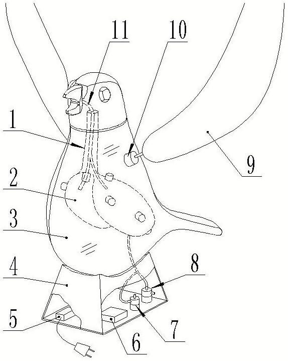 属于教具;旨在提供一种模拟鸟类在飞行过程中实现双重呼吸的演示模型