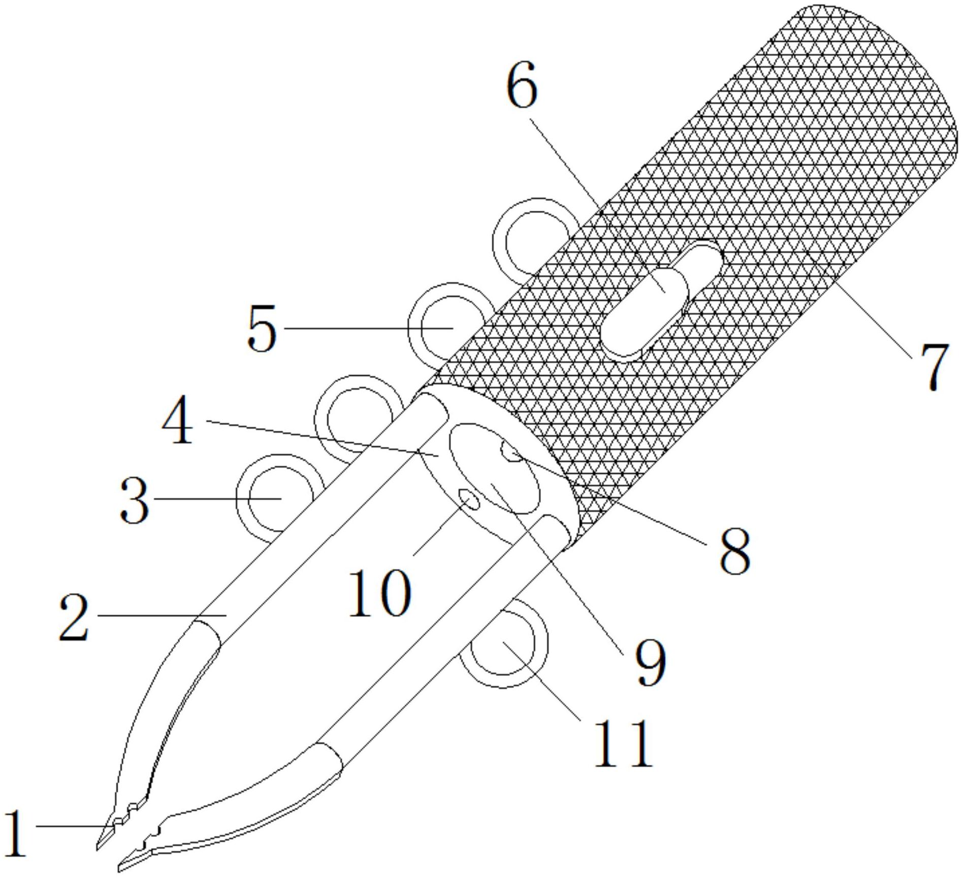 cn212165851u_一种用于神经内科精细分离实验鼠脑组织的镊子有效