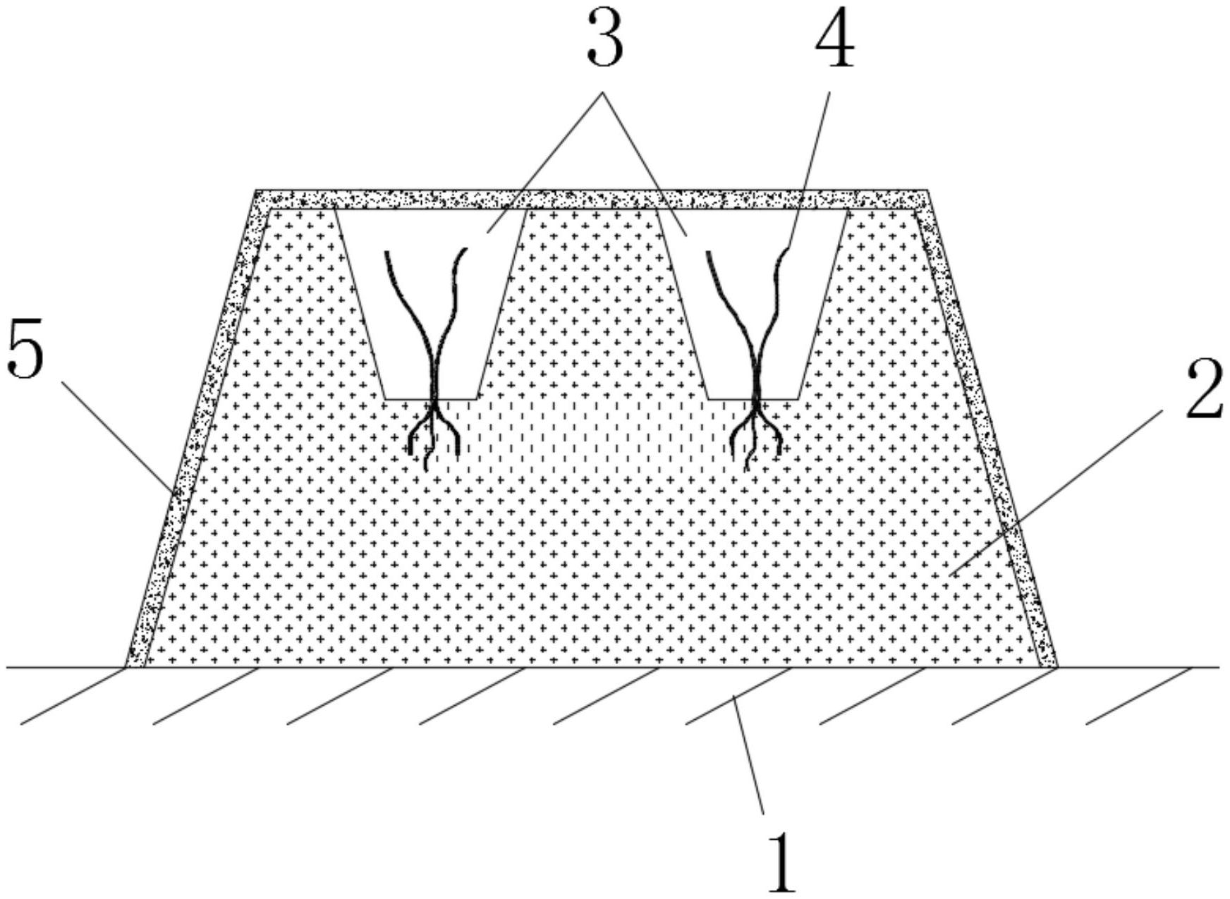 一种大垄双行浅沟地膜覆盖结构