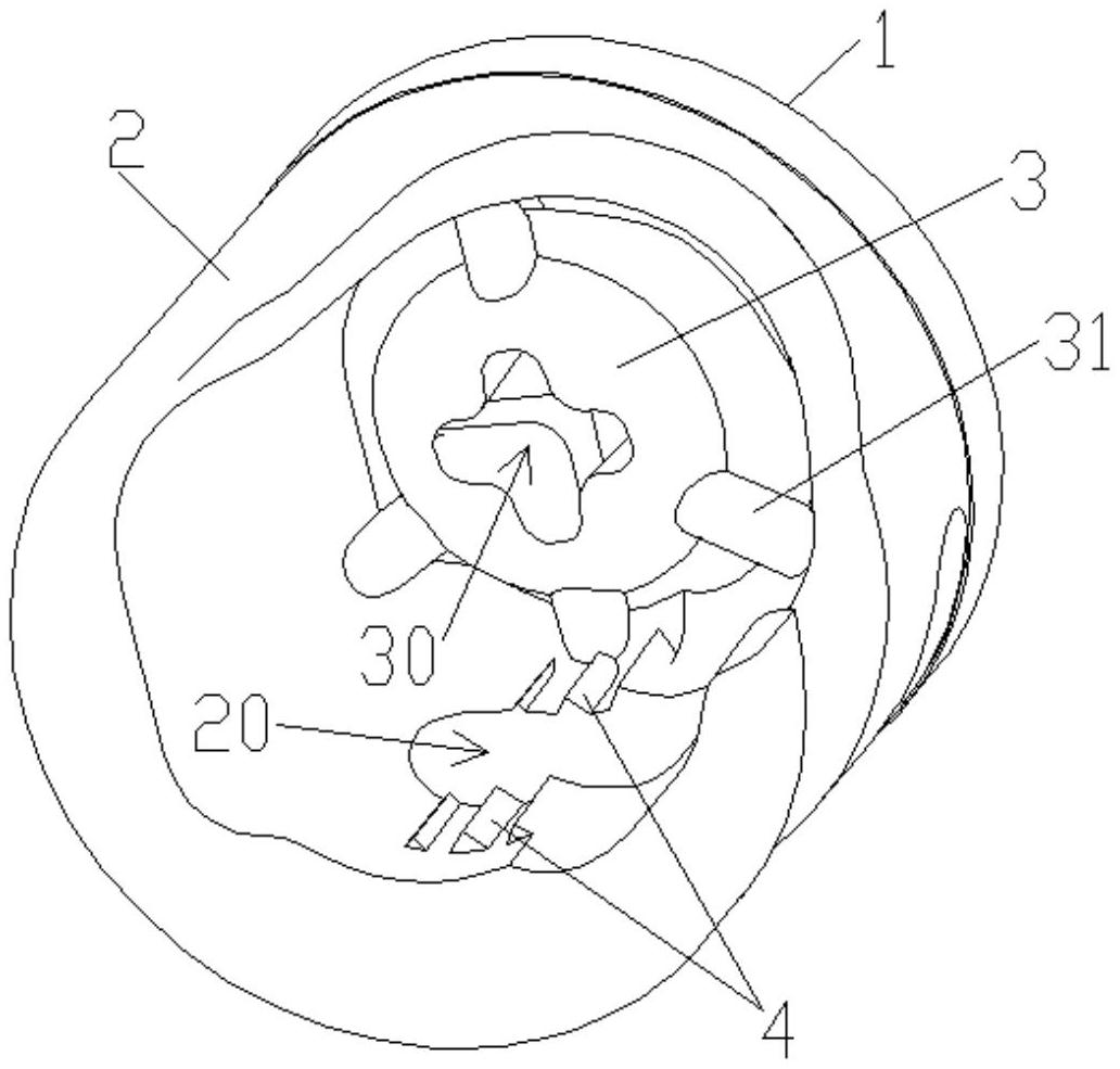 cn212360418u_一种偏心轮有效