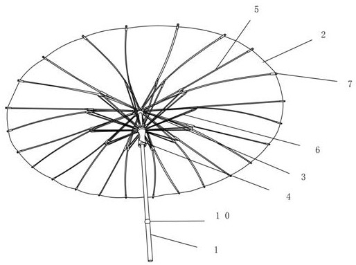 油纸伞骨架结构图图片