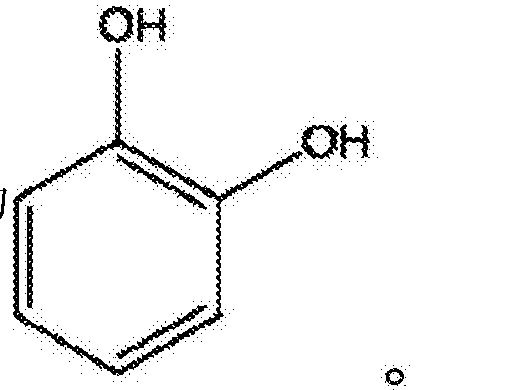 一種兒茶酚傳感器及其製備方法兒茶酚檢測方法