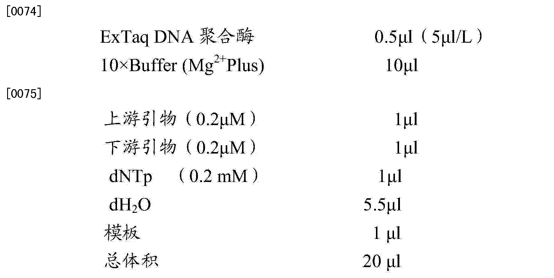 一组核苷酸序列及在伊氏李斯特菌鉴定中的应用