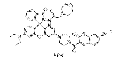 一種同時或分別檢測細胞溶酶體內硫化氫和次氯酸的熒光探針及其製備