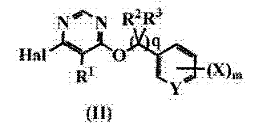 芳基烷氧基嘧啶衍生物含有芳基烷氧基嘧啶衍生物作為活性成分的農業和