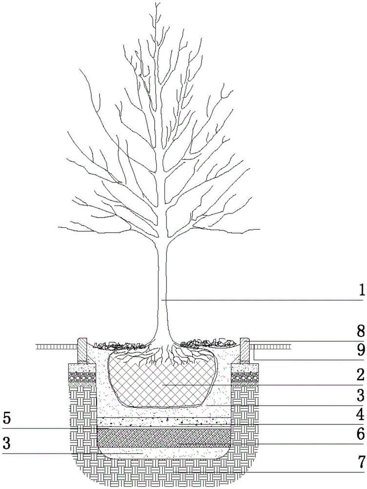 防止植物生长过程中对周边结构层造成破坏的生态种植池