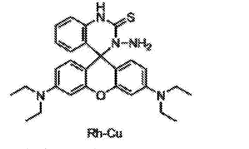 具有溶酶體定位功能的硅基羅丹明銅離子熒光探針及其制專利_專利查詢