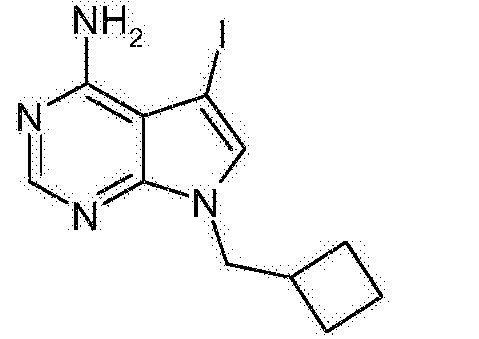 [0413 7-环丁基甲基-5-碘-7h-吡咯并[2,3-d]嘧啶-4-基胺[0414 y=