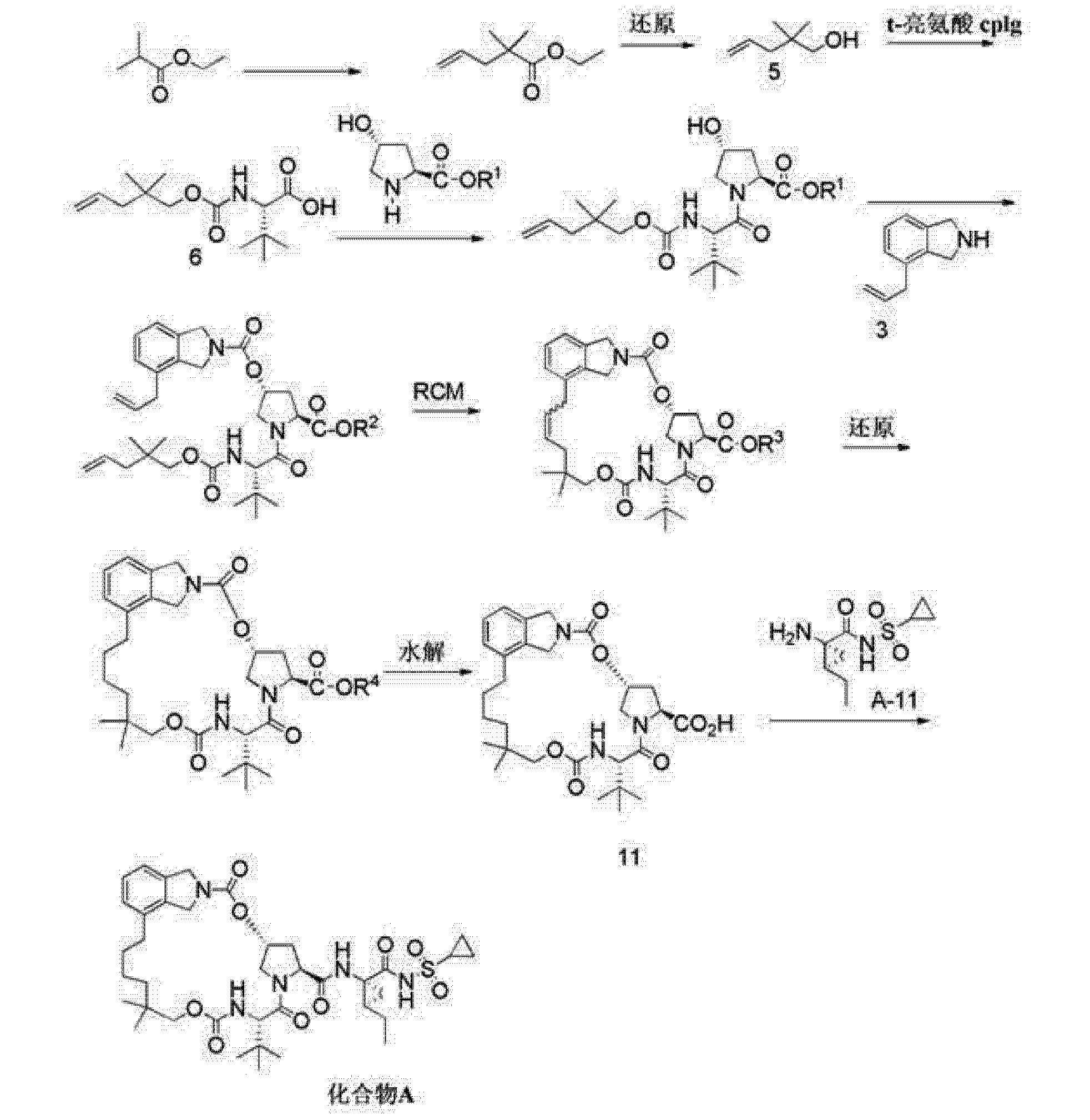 内酰胺环图片