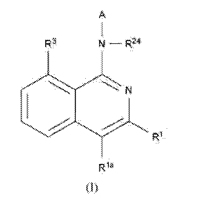 作为钾离子通道抑制剂的异喹啉类化合物
