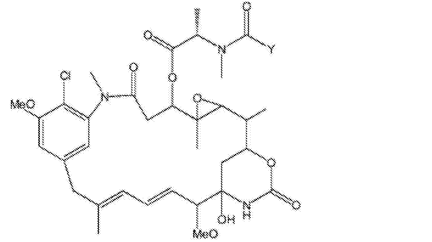 用于制备细胞结合剂62细胞毒性剂缀合物的方法
