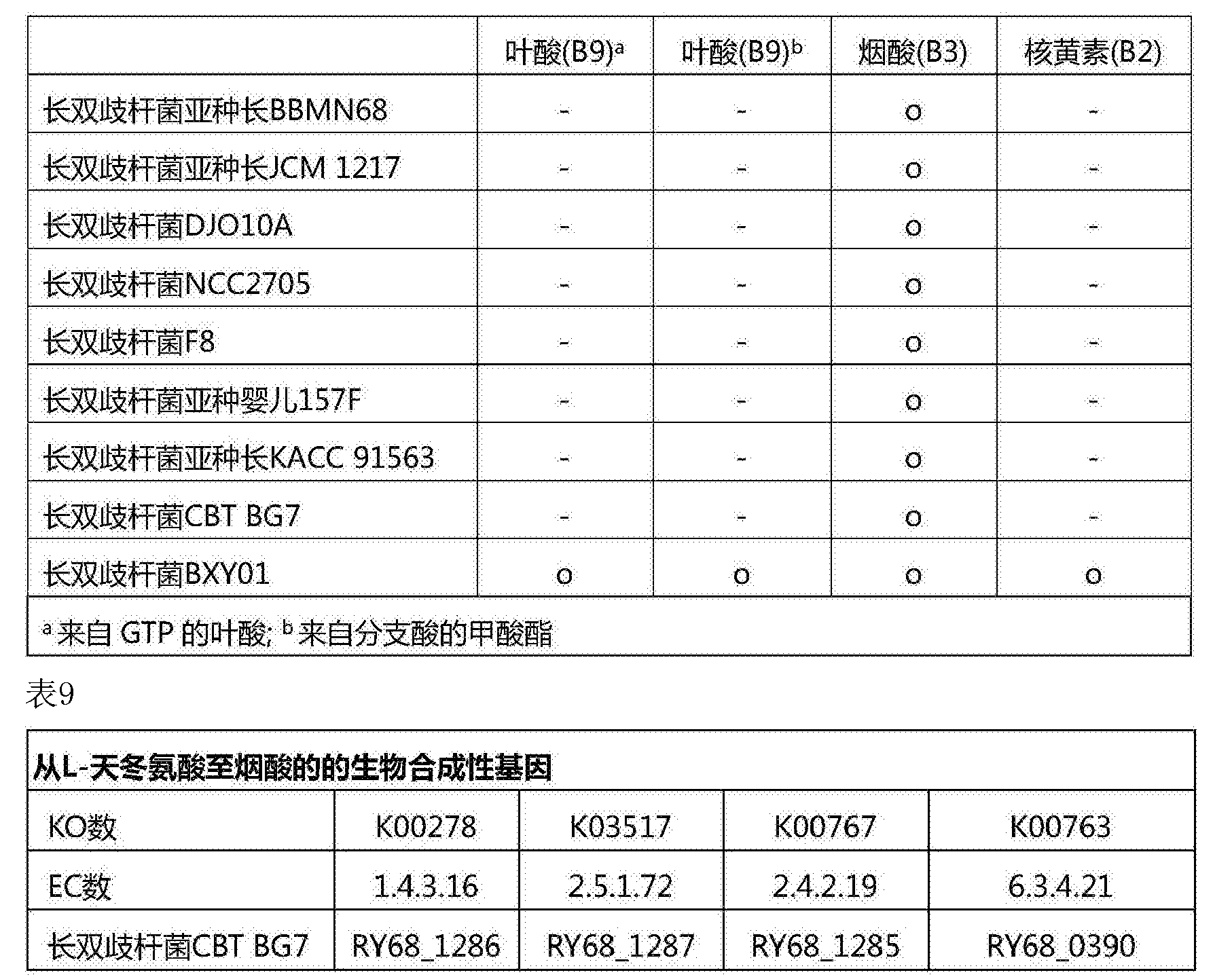 用于促进生长的长双歧杆菌cbtbg7菌株和用于促进生长的含有该菌株的