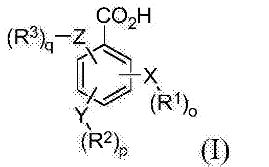 羟考酮的苯甲酸缀合物苯甲酸衍生物缀合物和杂芳基羧酸缀合物
