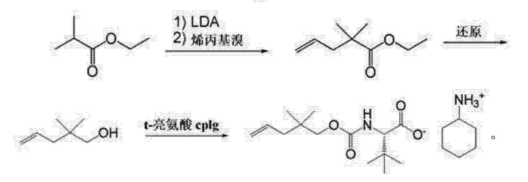 内酰胺环图片