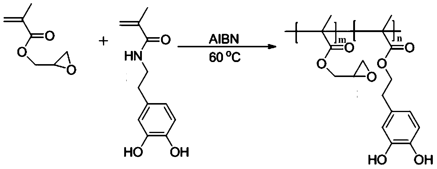 真空-氮气保护方式,在60℃条件下,通过aibn引发自由基聚合反应24h