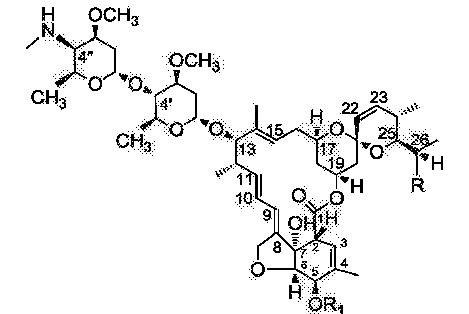 [0061] 在本发明中,式(3)所示结构的化合物经过步骤(4)的还原反应得到