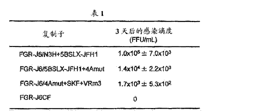 amut和fgr-j6/4amut skf vrm3 的細胞的培養上 清,測到了高的感染滴度