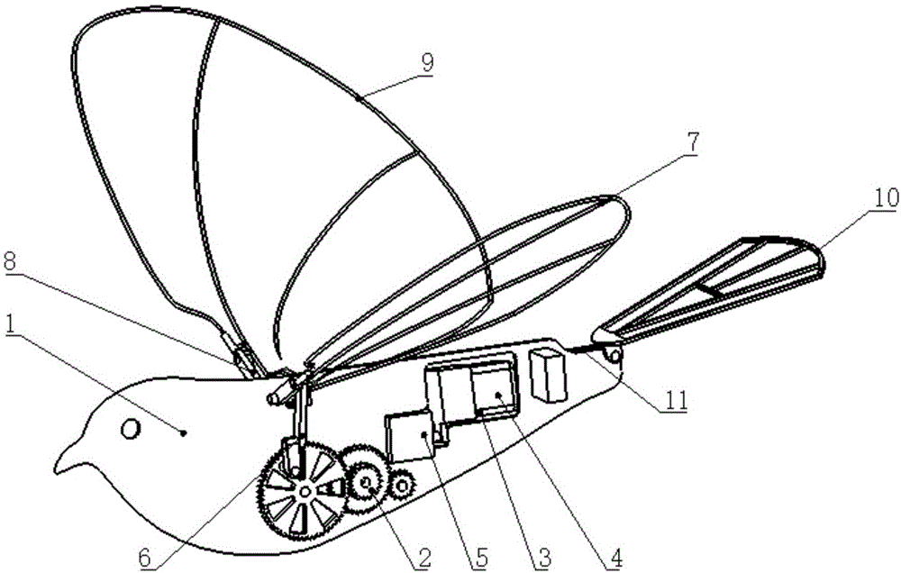 cn109592029a_一种仿鸟微型扑翼飞行器