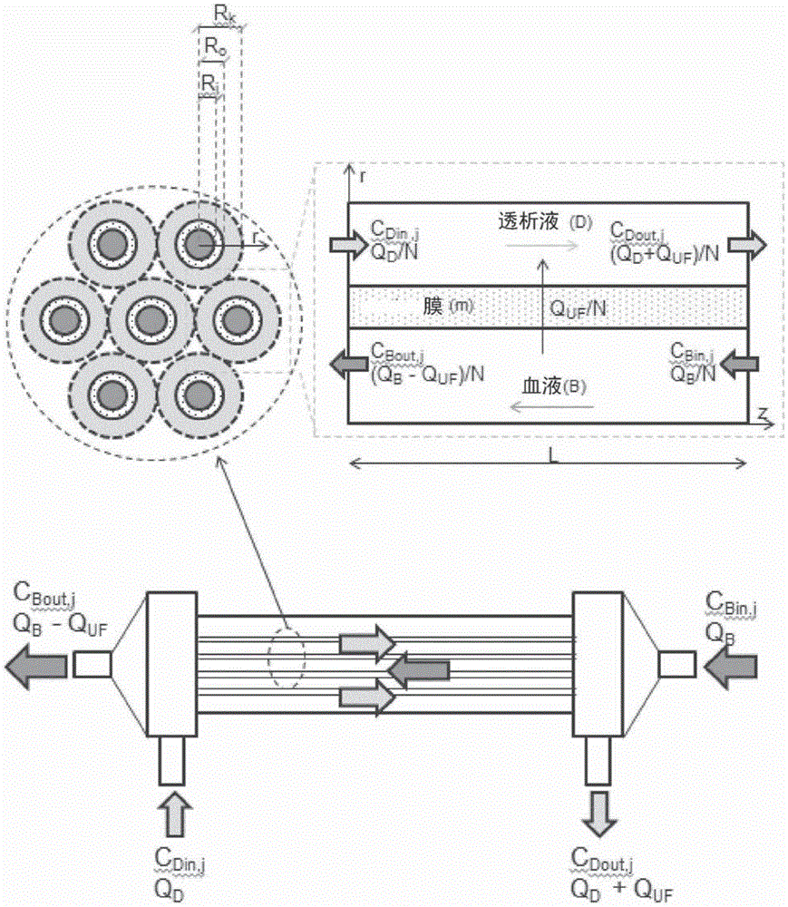 用于血液净化的优化血液透析器