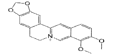 [0006][0005] 小檗鹼是一種異喹啉類生物鹼,其分子結構如下:發明內容