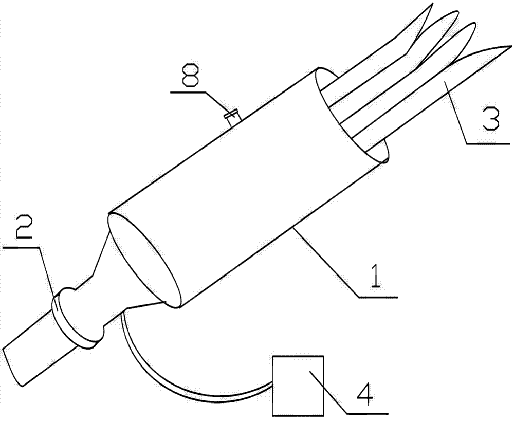 cn208259977u_一种医疗导管
