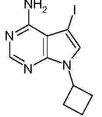 作為蛋白激酶抑制劑的662氨基62762二環62762脫氮62嘌呤