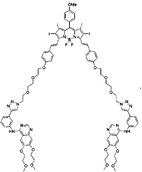 埃罗替尼修饰的氟硼二吡咯衍生物及其制备和应用