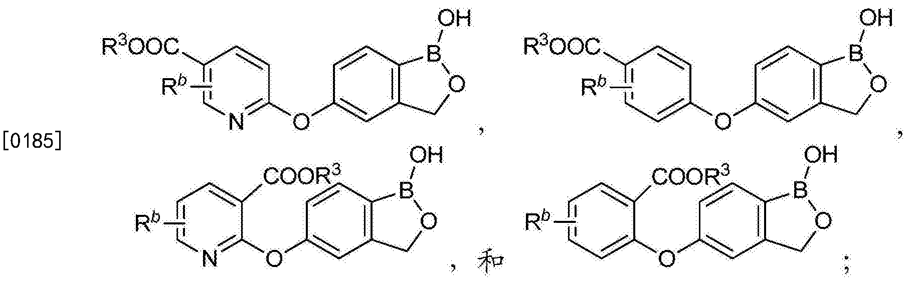 苯硼酸酯图片