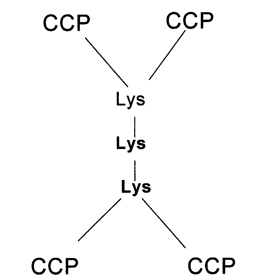 由invitrogen公司合成上述结构所示的map,其中的ccp结构如前所