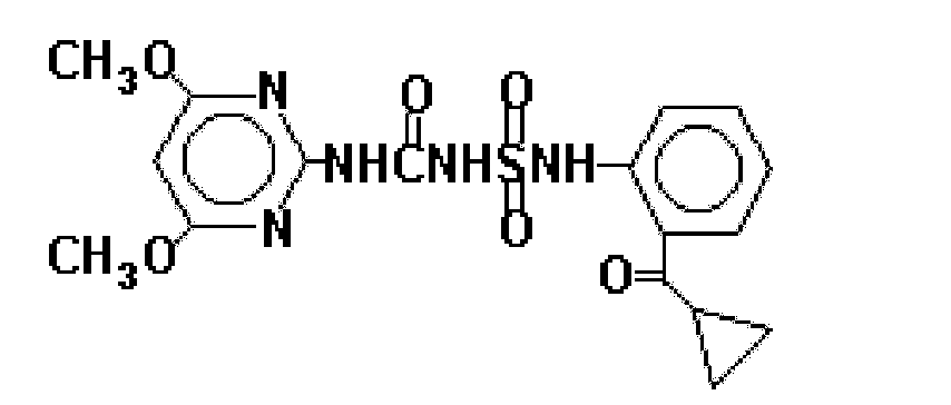 一种含双草醚和环丙嘧磺隆的混合除草组合物