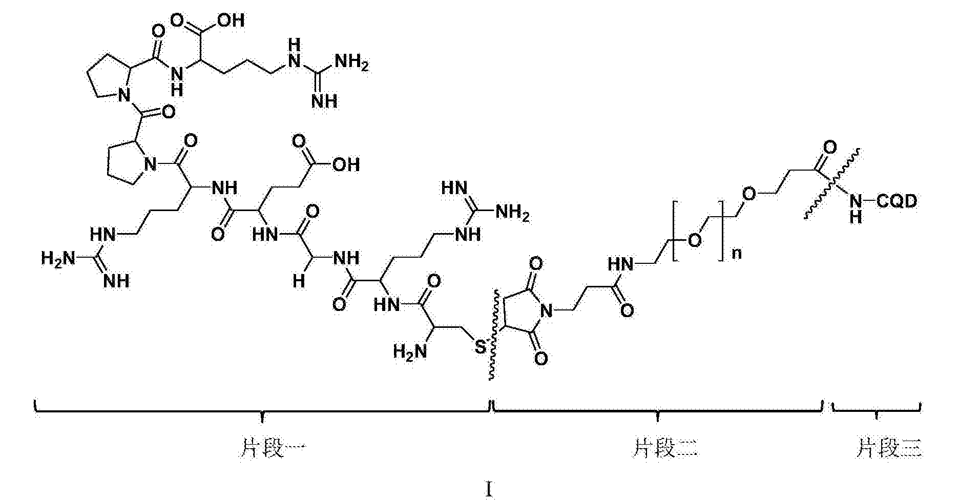 片段二为马来酰亚胺-聚乙二醇-氨基琥珀 酰亚胺琥珀酸酯(mal-peg-nhs)