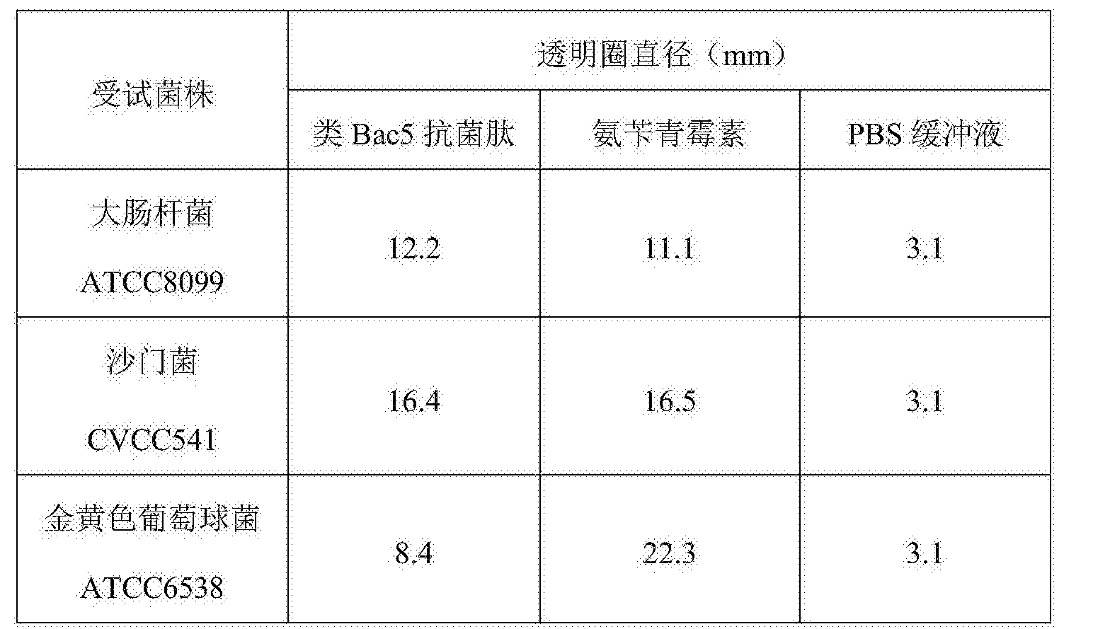 镜检细菌(BAC)偏高图片