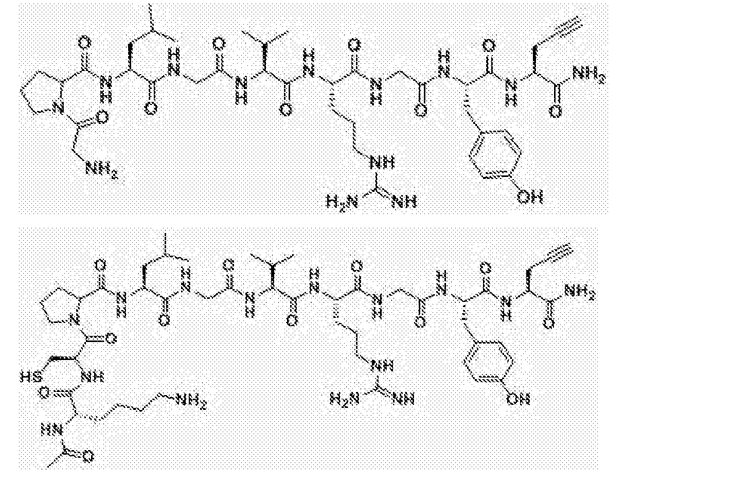 cn108514647a_基質金屬蛋白酶-2特異性多模態分子影像探針及其製備