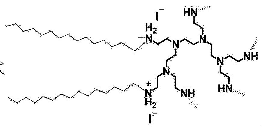 聚乙烯亚胺结构图片